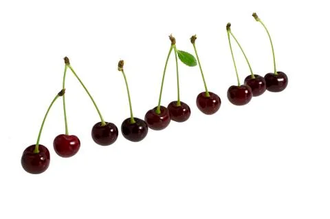 Some dark berries of a cherry. Stock Photos