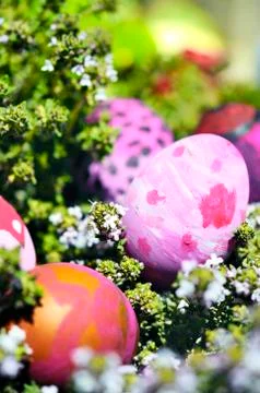 Some decorated easter eggs Stock Photos