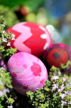 Some decorated easter eggs Stock Photos