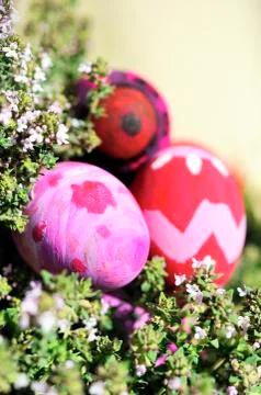 Some decorated easter eggs Stock Photos