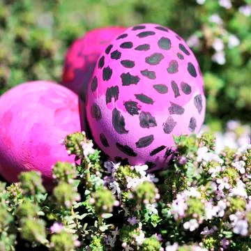 Some decorated easter eggs Stock Photos