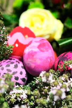 Some decorated easter eggs Stock Photos