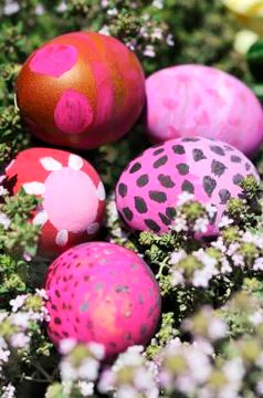 Some decorated easter eggs Stock Photos