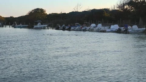 Some ducks cross water in a small italian port Stock Footage 136150456