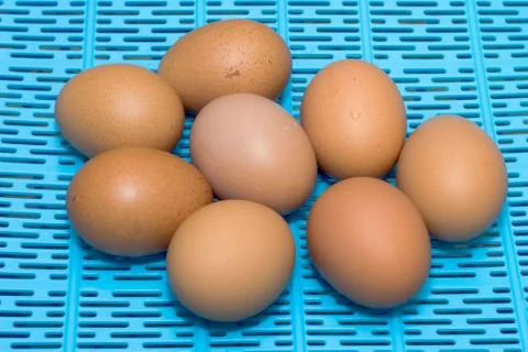 Some eggs Stock Photos