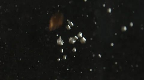 Some eurocents falling in water Stock Footage 24899448