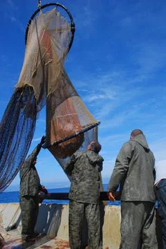 Some fishermen checking the codend mesh in trawl operation Stock Photos