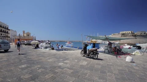 Some fishermen intend to set up the nets on the pier of the port of the fishi Stock Footage