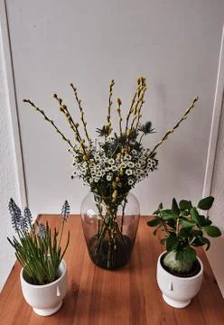 Some flowers stand on the table Stock Photos