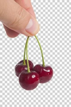 Some fresh cherries Stock Photos
