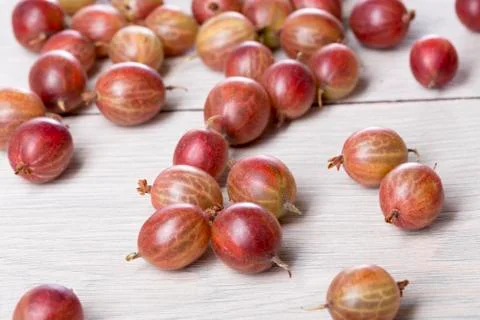 Some fresh gooseberries on a table Stock Photos