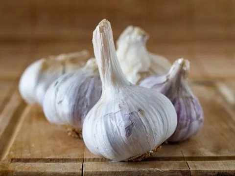 Some garlics (2) Stock Photos