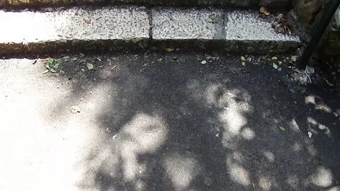 Some go down, others go up Stock-Footage 92172508