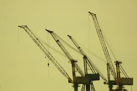 Some harbor cranes ready to operate Stock Photos