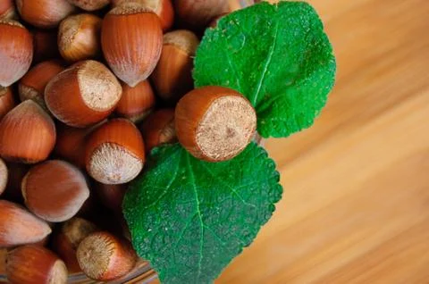 Some hazelnuts with leaves 스톡 사진