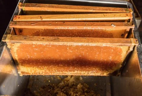Some honeycombs during the extraction process. 스톡 사진
