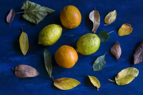 Some lemons, oranges and leafs Stock Photos