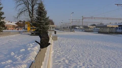 Some Lonely Black Crow is Flying Off a Concrete Curb at a Railway Station in Stock Footage 59032196