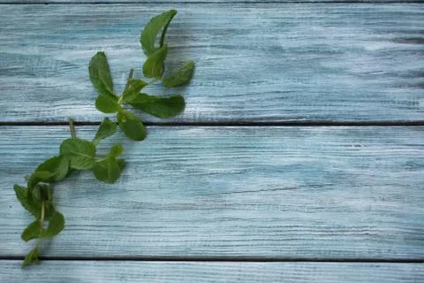 Some Mint Leaves on Wooden Background Stock Photos