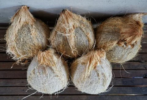 Some old coconuts that have been opened are on the trasitional chocolate table Stock Photos