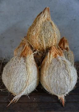 Some old coconuts that have been opened are on the trasitional chocolate table Stock Photos