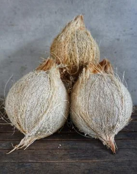 Some old coconuts that have been opened are on the trasitional chocolate table Stock Photos