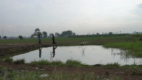 Some peasants walked beside the fields Stock Footage 157083320