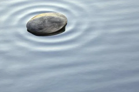 Some pebbles in the clear ocean water background banner. 3D illustration Stock Illustration
