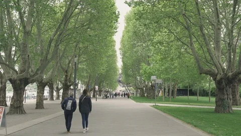 Some pedestrians walking down a park next to Rhine river in Koblenz, Germany Video stock 126786271