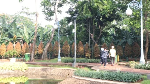 Some people exercise in the park Video stock 121773677