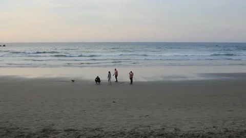 Some people walking in a beach during sunset Stock Footage 238561091