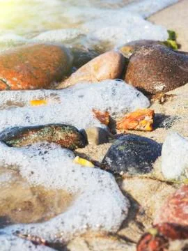 Some pieces of amber found on the Baltic seashore Stock Photos
