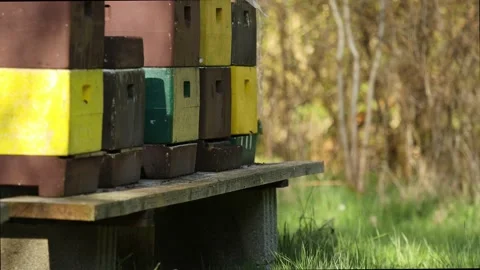 Some plain beehives outdoors Stock-Footage 153204935