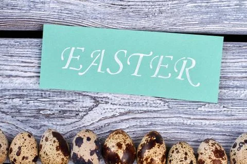 Some quail eggs in a row. Foto stock