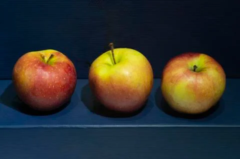 Some red apples on a blue background. Stock Photos