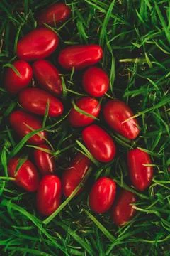 Some red grape tomatoes on the grass Stock Photos