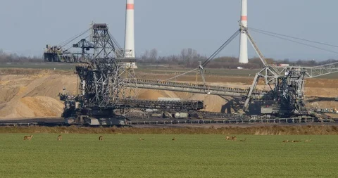 Some Roe deer (capreolus capreolus) in front of brown coal excavator - wildlife Stock Footage 86645758