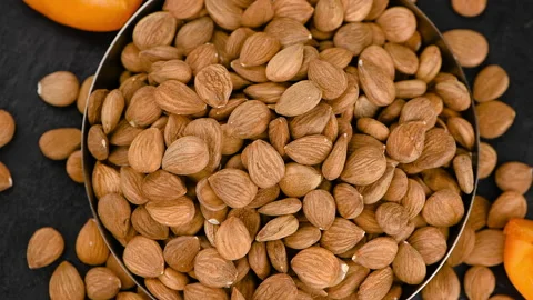 Some shelled Apricot Kernels on a rotating plate (seamless loopable) Stock Footage 130960507