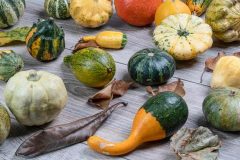 Some small pumpkins Stock Photos