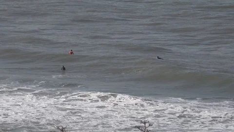 Some surfers waiting in the water Stock Footage 100159355