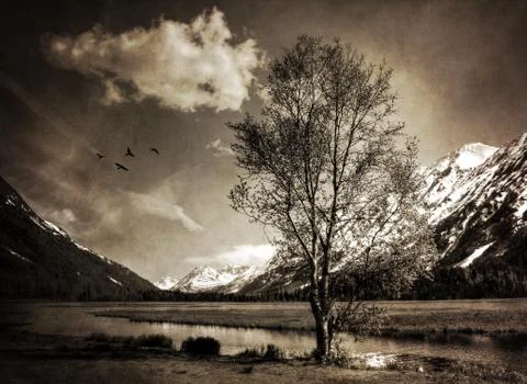 Some things never change Stock Photos