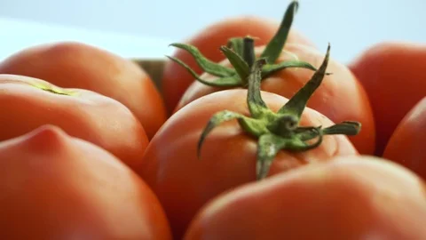 Some tomatoes bind together 360 degree spin, isolated 4K Stock Footage 97116992