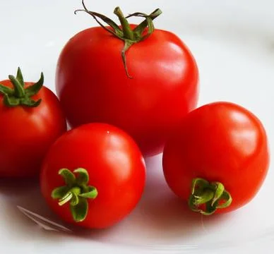 Some tomatoes Stock Photos