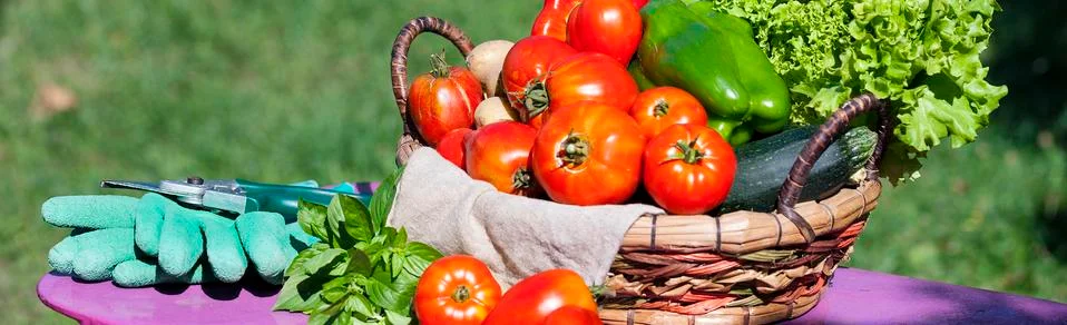 Some vegetables Foto stock