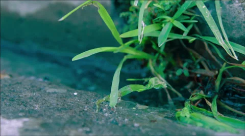 Some water passing on corner Stock Footage 37986157