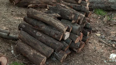 Some wood 4 Video stock 325629664
