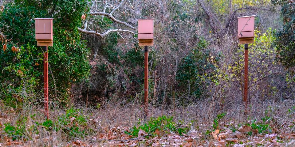 Some wooden rectangular bat box against trees Stock Photos