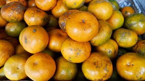 Some yellow ripe oranges Stock Photos
