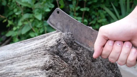 Somebody pulls out an old meat cleaver from a tree log and then wedges it back Vídeos de archivo 113742894