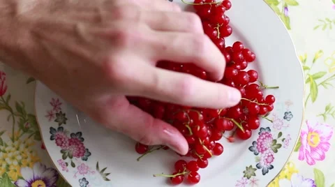 Somebody puts currant on a plate 動画素材 64623310